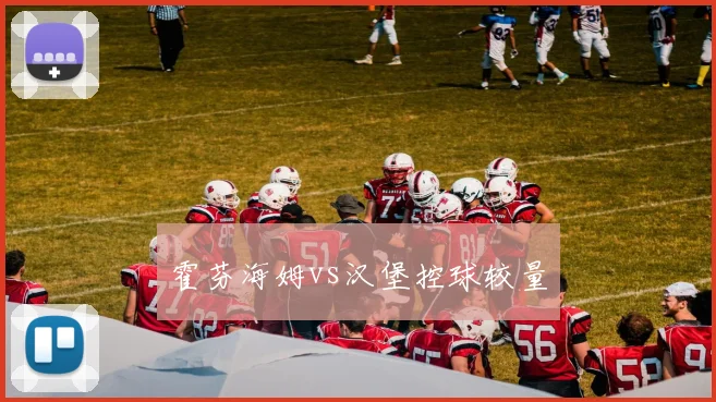 霍芬海姆vs汉堡控球较量