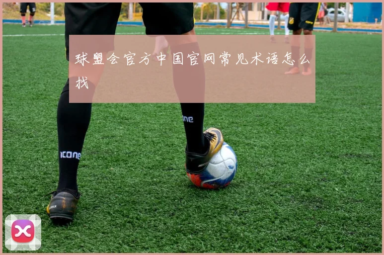 球盟会官方中国官网常见术语怎么找