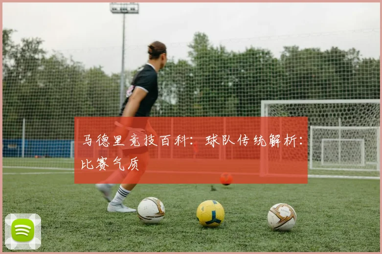 马德里竞技百科:球队传统解析:比赛气质